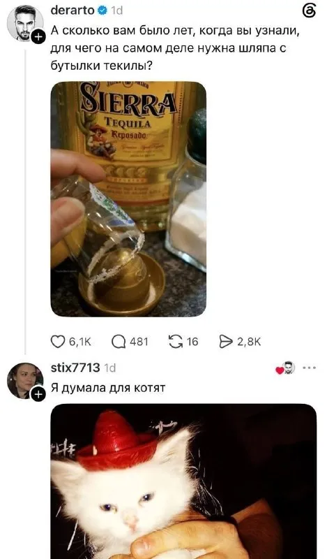 Шляпа с бутылки текилы
