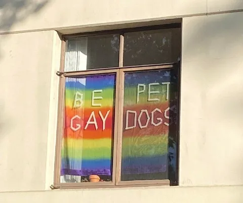 Be Gay Pet Dogs Window