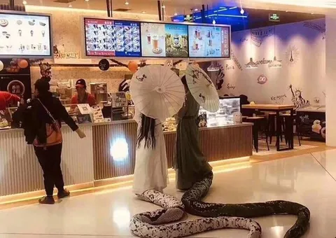 Women With Giant Snakes in a Cafe