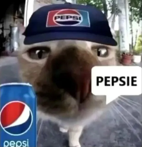 Pepsie Cat Reaction