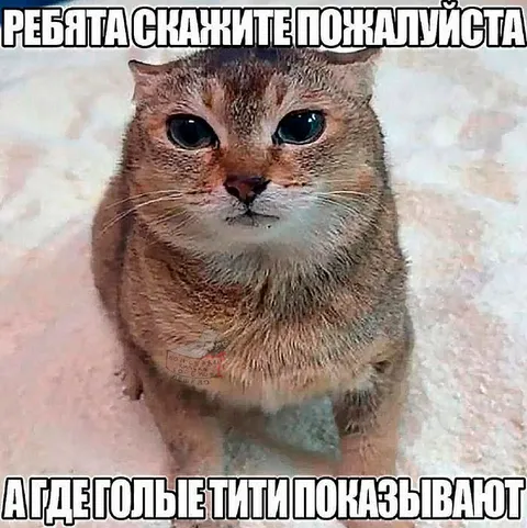 Где показывают голых типов