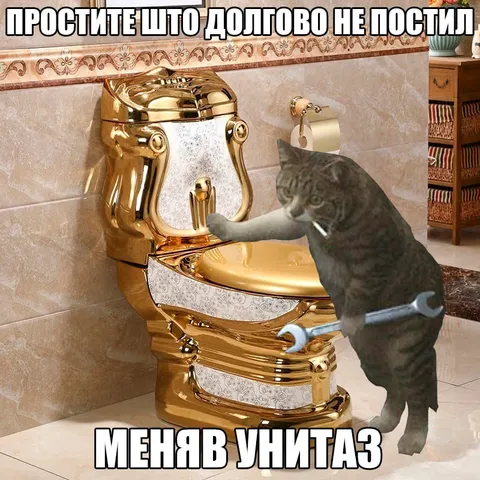 Кот долго меняет унитаз