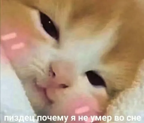 Почему я не умею во сне