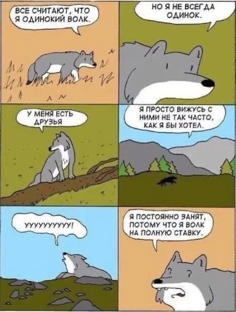Волк на полную ставку