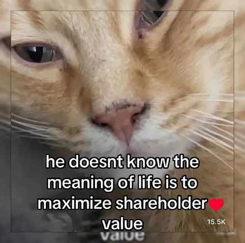 Cat Doesn't Know Shareholder Value