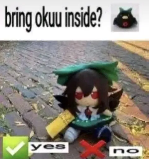 Bring Okuu Inside Yes No