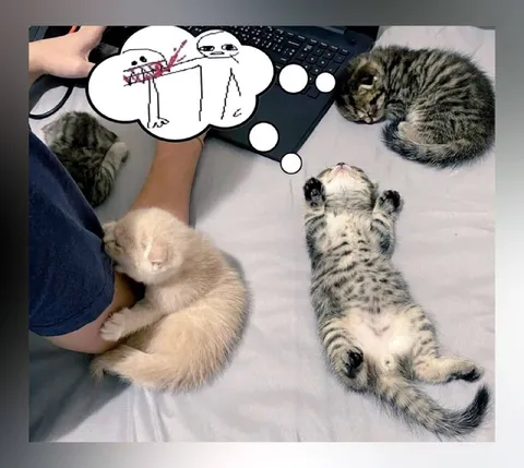 Котята и странные мысли