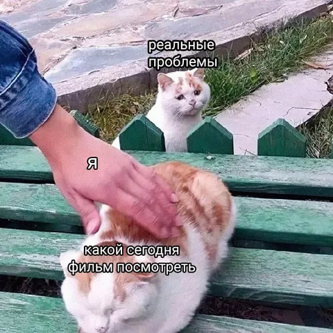 Реальные проблемы с выбором фильма