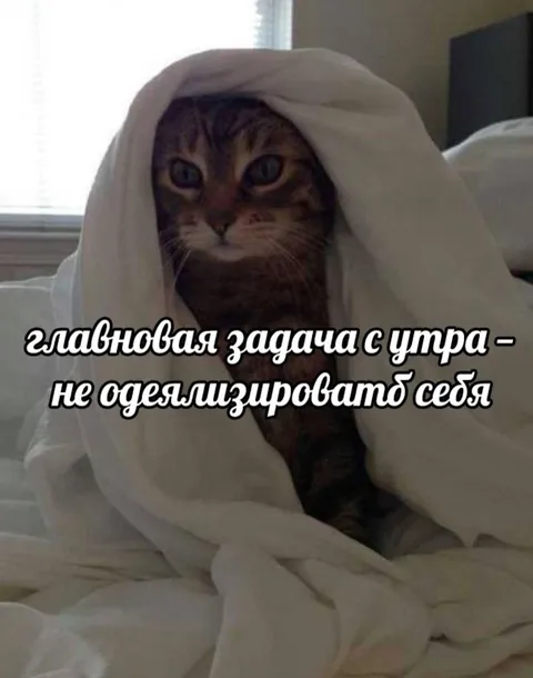 Главновая задача с утра