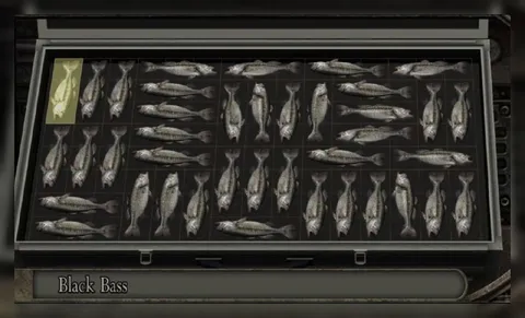 One Fish Stands Out