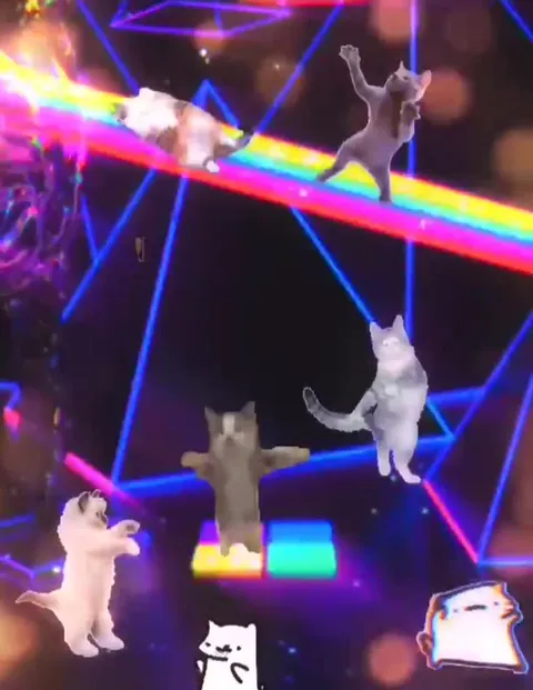 Cats Sent to the Psychiatric Unit