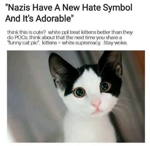Adorable Cat Hate Symbol
