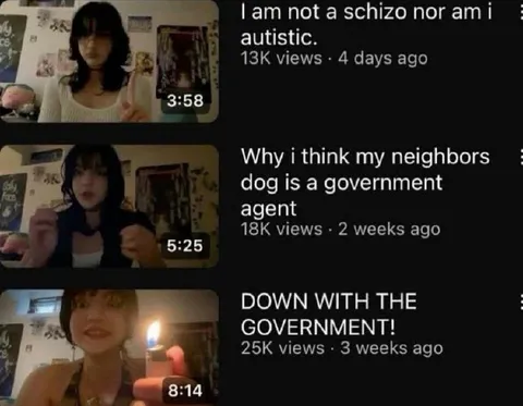 Government Agent Dog Theory