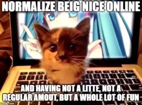 Normalize Being Online Cat