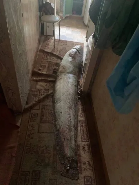 Гигантский свёрток в коридоре