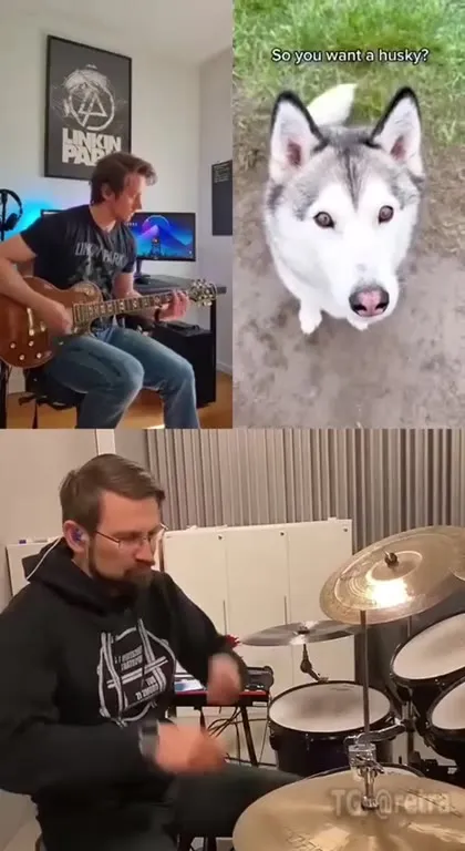 So You Want a Husky