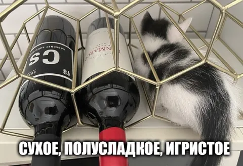 Сухое, полусладкое, игристое