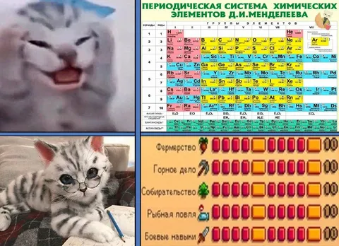 Кот изучает всю таблицу Менделеева