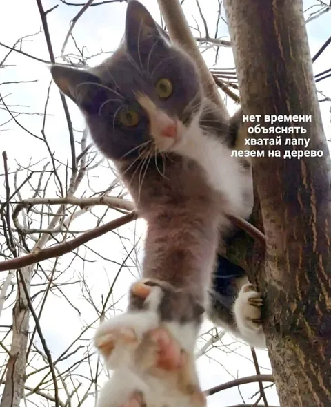 Нет времени объяснять