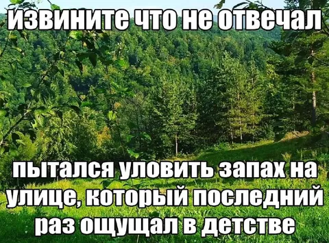 Уловить запах детства