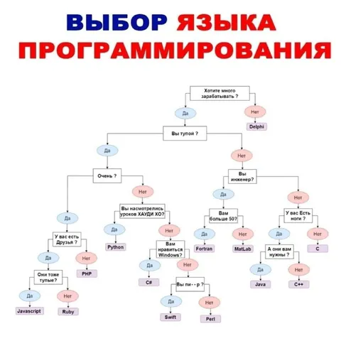 Выбор языка программирования