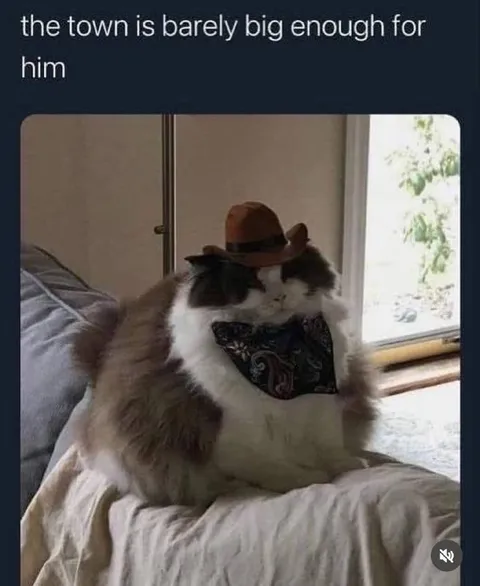 The Town Is Barely Big Enough