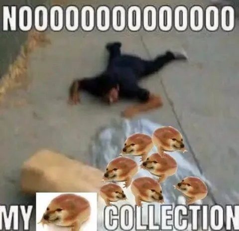 My Hamster Collection