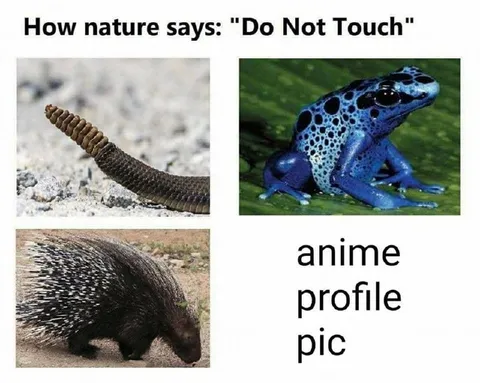 How Nature Says Do Not Touch