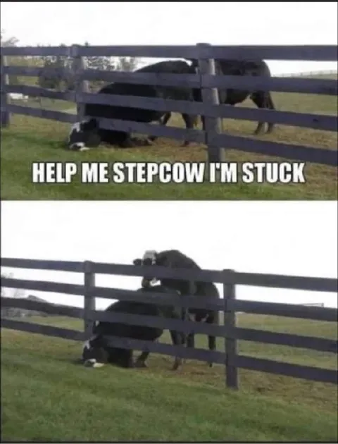 Help Me Stepcow