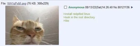 Install Redpilled Linux
