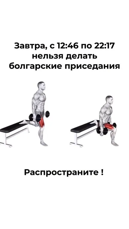Болгарские приседания по расписанию
