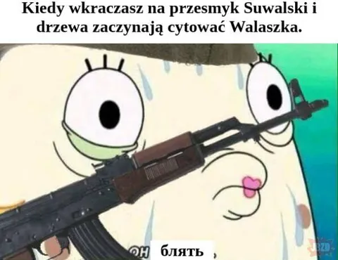 Przesmyk Suwalski cytuje Walaszka