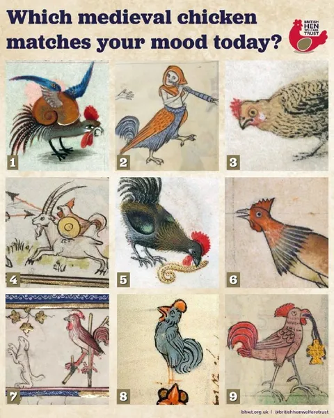 Which Medieval Chicken Matches Your Mood