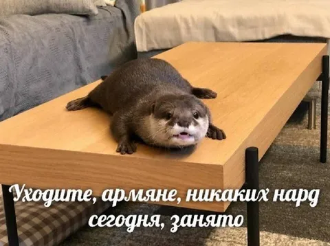Выходите, армяне, занято