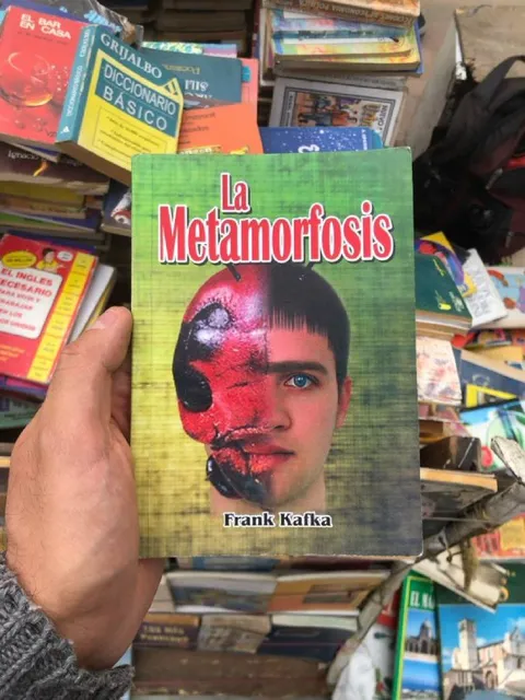 La metamorfosis de Kafka