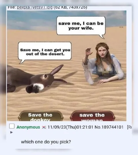 Save the Donkey or Woman