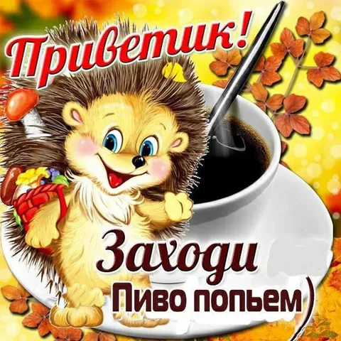 Ёжик зовёт на пиво