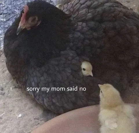 Sorry, My Mom Said No