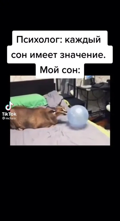Мой сон про кота и НЛО