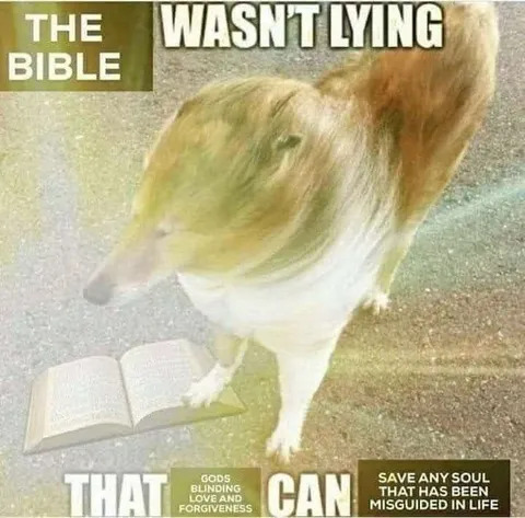 Dog Proves the Bible Right