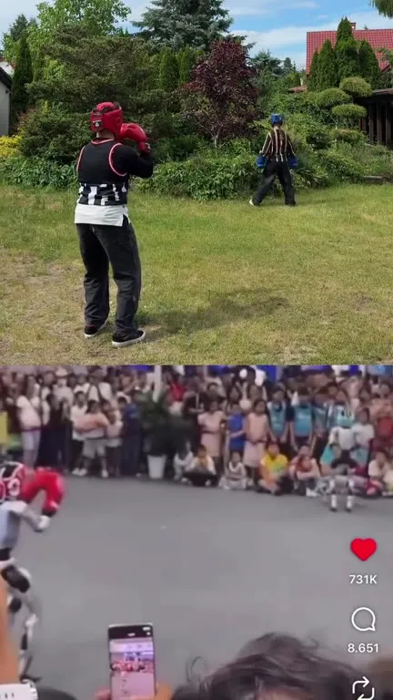 Boxing Robot Knockout