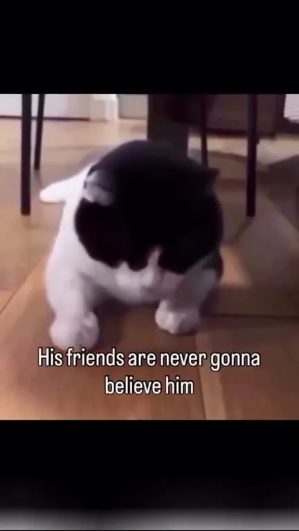 Friends Will Never Believe Him
