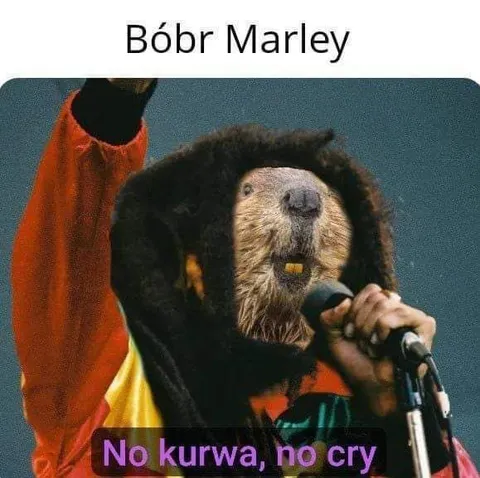Bóbr Marley no cry