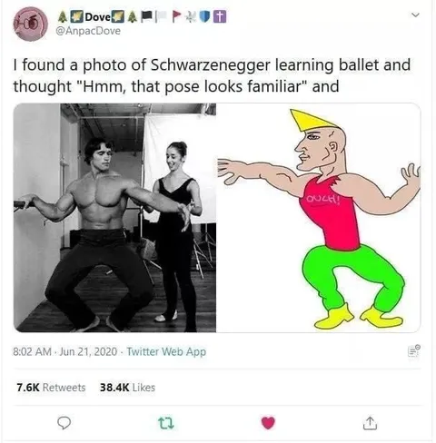Schwarzenegger Learns Ballet