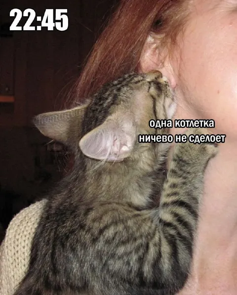 Одна котлетка ничего не сделает