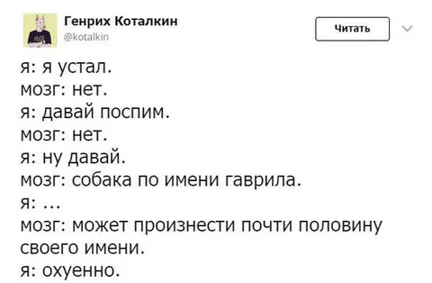 Собака по имени Гаврила
