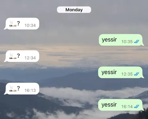 Monday Yessir Chat