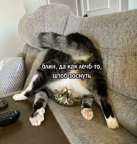 Кот пытается заснуть