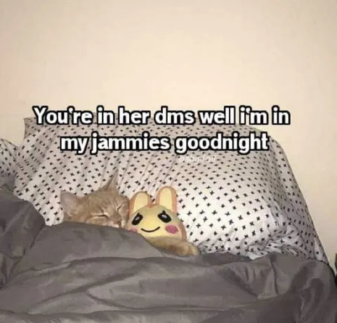 In Her DMs, In My Jammies