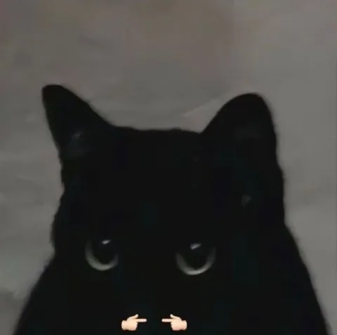 Неловкий чёрный кот